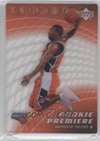 Rookie Premiere - Raymond Felton #/599