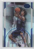 Mehmet Okur #/399