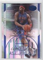 Rasheed Wallace #/399