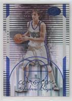 Andrew Bogut #/399