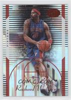 Rasheed Wallace #/299