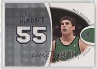 Wally Szczerbiak #/199