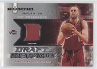 Zydrunas Ilgauskas #/50