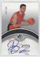 Rookie Authentics - Andrea Bargnani #/299