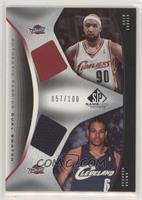 Drew Gooden, Shannon Brown #/100