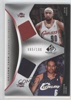 Drew Gooden, Shannon Brown #/100