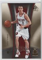 Steve Blake #/100