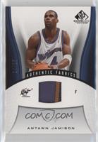 Authentic Fabrics - Antawn Jamison #/25