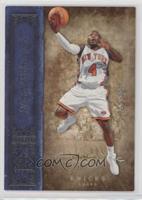 Nate Robinson #/499