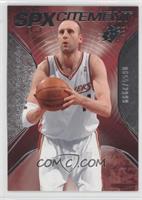 Zydrunas Ilgauskas #/2,999