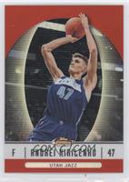 Andrei Kirilenko