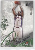 Amar'e Stoudemire #/329