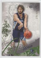 Pau Gasol #/329