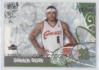 Shannon Brown #/329