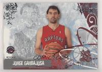 Jorge Garbajosa #/499