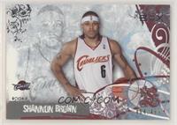 Shannon Brown #/499