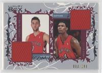 Andrea Bargnani, Chris Bosh #/299