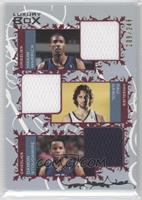 Hakim Warrick, Pau Gasol, Damon Stoudamire #/249