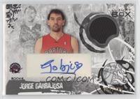 Jorge Garbajosa #/249