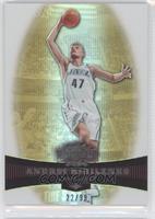 Andrei Kirilenko #/99