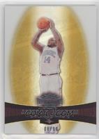 Jameer Nelson #/99