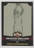 Rasheed Wallace #/1