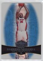 Rasheed Wallace #/25