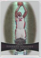 Rasheed Wallace #/299