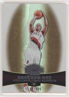 Brandon Roy [EX to NM] #/299