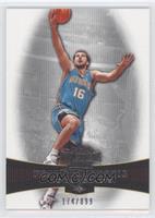 Peja Stojakovic #/899