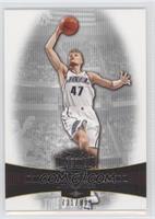 Andrei Kirilenko #/899