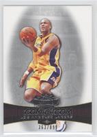 Lamar Odom #/899