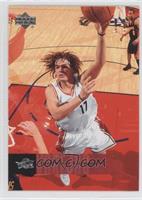 Anderson Varejao