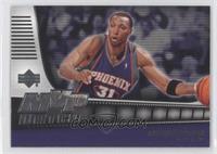 Shawn Marion