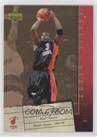 Dwyane Wade [EX to NM] #/100