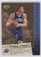 Andrei Kirilenko #/100