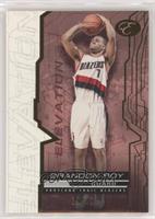 Brandon Roy #/49