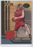 Andrea Bargnani #/79