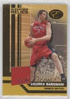 Andrea Bargnani [EX to NM] #/19