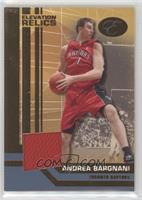 Andrea Bargnani [EX to NM] #/19