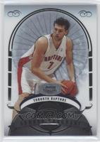 Andrea Bargnani