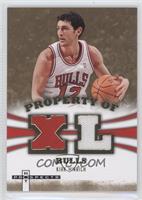 Kirk Hinrich #/149