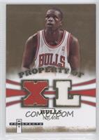 Luol Deng #/149