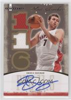 Andrea Bargnani [Noted] #/37