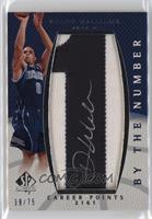 Deron Williams #/75