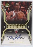 Thabo Sefolosha [EX to NM]