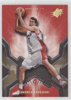 Andrea Bargnani #/25