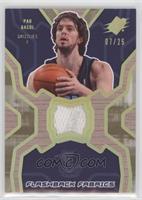 Pau Gasol #/25