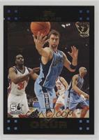 Mehmet Okur #/119