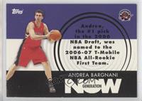 Andrea Bargnani